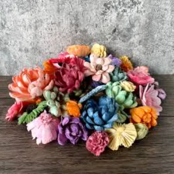  Modern Shola Flower